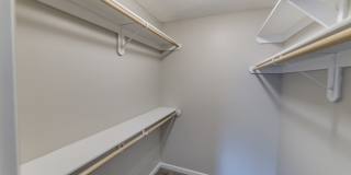 Summer Chase Gallery 28