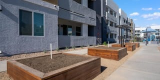 Acero at the Stadium Gallery 32