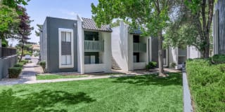 Treehouse Apartments Gallery 44