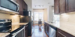 Domain at Kirby Gallery 30