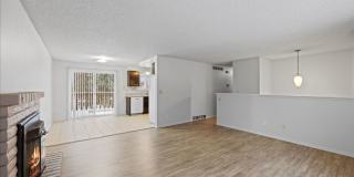 4973 Chukar Drive Gallery 3