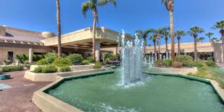 38061 Crocus Lane Gallery 41