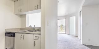 Metropolitan Park Metropolitan Park Gallery 10