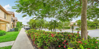 Springs at Gulf Coast Gallery 58