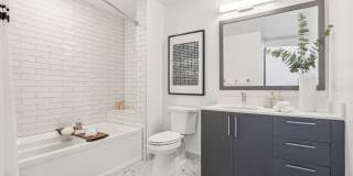 Avida Aventura Gallery 25