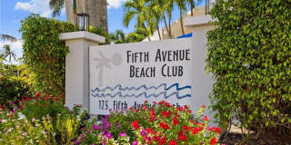 175 Fifth Avenue S unit: 204 Gallery 1