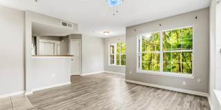 10531 BEACON RIDGE DR #13-101 Gallery 13