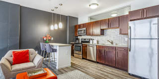 Ovation 309 Gallery 4