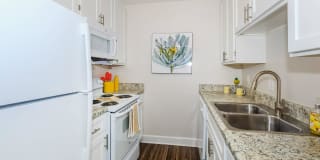 Ashton at Harding Gallery 1