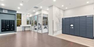 Avia Apartments on Pike Gallery 22