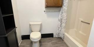 Newly Renovated Ground Floor 1 Bed Apartment! Gallery 16