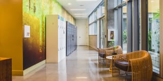 Blossom Plaza Gallery 22