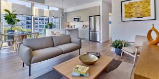 The Hazel Jersey City Gallery 25