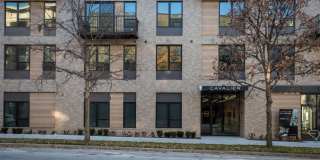 Cavalier at the Crosswalks Gallery 21