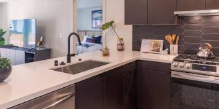 Ardence & Bloom Ardence & Bloom Gallery 4