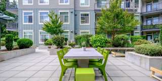 Elan Redmond Gallery 12