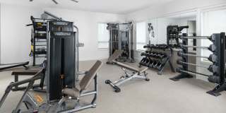 Homecoming at The Preserve Gallery 70