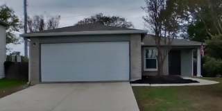 160 Hanging Moss Gallery 1