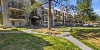 29656 Buffalo Park Road - #206 Gallery 13