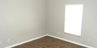 Charming 3/2 home in Port Tampa Gallery 11