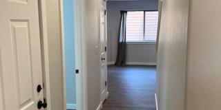 Newly remodeled 3 bedroom condo Gallery 25