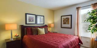 Raintree Apartments Gallery 10