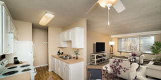 Chesterwood Gallery 2