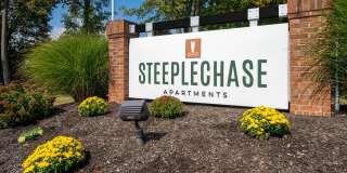 Steeplechase Gallery 36