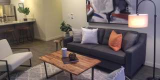 The Ava Gallery 7