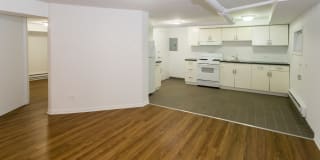 The Pepperland Gallery 8