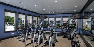 Lake Clearwater Gallery 6