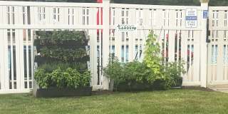 Terraces on the Green Gallery 28