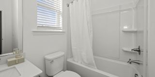 Affinity at Oak Hills Gallery 13