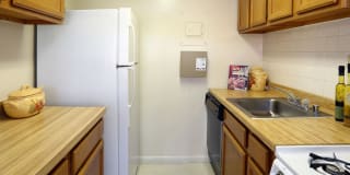 Belcrest Plaza Gallery 11