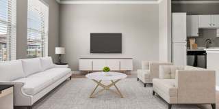 Olympus Las Colinas Gallery 14