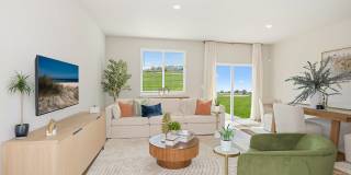 Coral Palms at Oakleaf Gallery 9