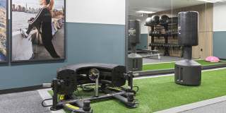 Novi at Queen Anne Gallery 5