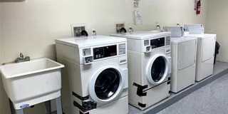 133 Lincoln Avenue Gallery 3