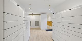 The Centro Gallery 89