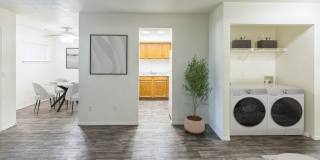 Springwood Gallery 3