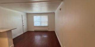 COZY 1BD/1BA LOWER SOUTH HILL APARTMENT | A/C | ON-SITE LAUNDRY | PET FRIENDLY | $250 OFF MOVE-IN, OAC Gallery 4