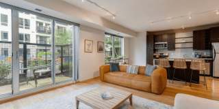 Blue and Lime Gallery 2