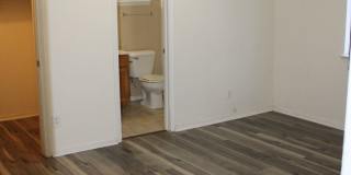 12477 SOMBRA FUERTE Gallery 12