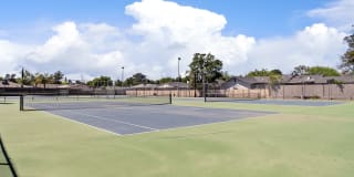 Park West Gallery 22