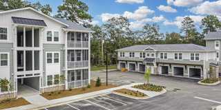 Waterleaf at Salt Creek Gallery 22