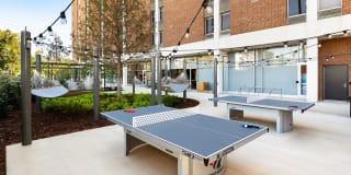 Tower on Tenth Gallery 20