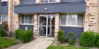 8647 1/2 W Foster Ave Apt 1B Gallery 1