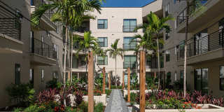 Cortland on Orange Gallery 39