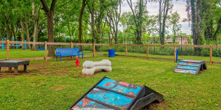 The Canvas Gallery 24