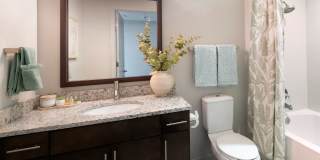 Ovation at Park Crest Gallery 13